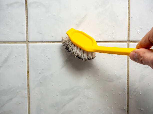 Best Mold Removal Company Near Me  in Collegeville, PA